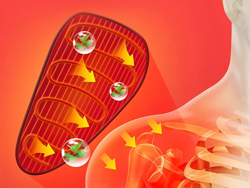 Masażer stawy bark kolano łokieć ramię z podgrzewaniem wibracyjny 3 tryby usb