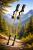 Kijki Trekkingowe Teleskopowe 135 cm Anti-Shock z Kompasem Złote Nordic Walking Góry