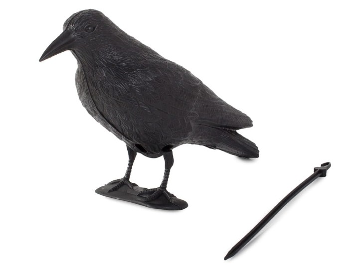 KR5.jpg