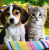 shot_220113_120508.png