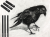 11.png