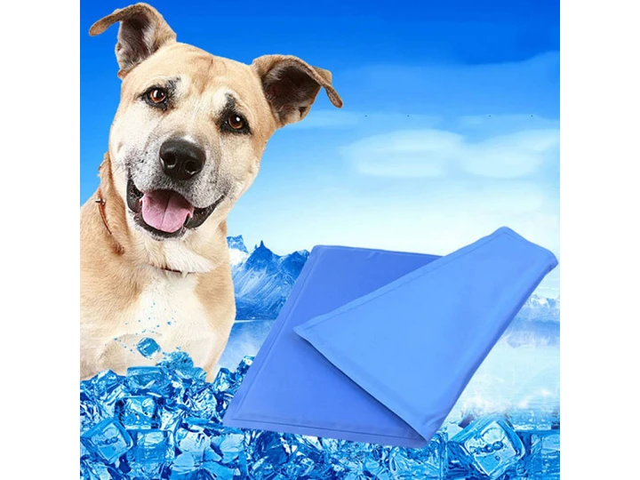 c01a0ce71273bc644afb3b7b391c203d
